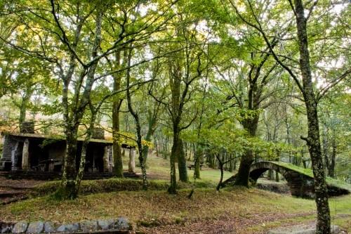 Imagen de As Pontes de García Rodríguez mapa 15320 4 
