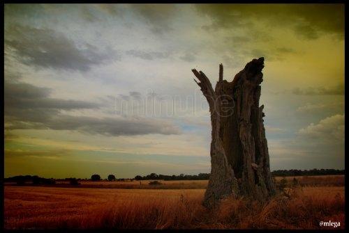 Imagen de Astudillo mapa 34450 3 