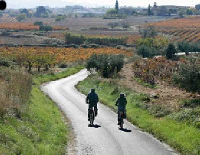 Imagen de Avinyonet del Penedès mapa 08793 3 