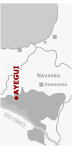 Imagen de Ayegui mapa 31240 2 