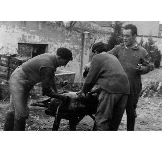 Imagen de Azután mapa 45571 2 