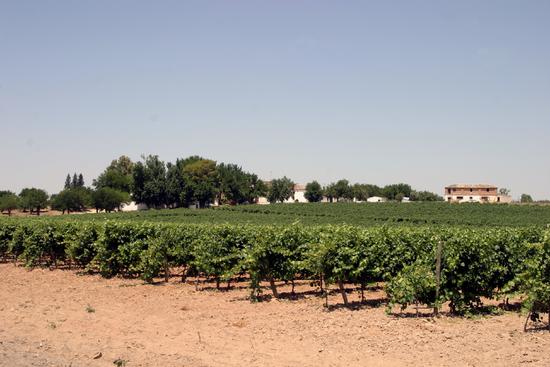 Imagen de Bargas mapa 45593 3 