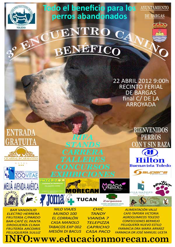 Imagen de Bargas mapa 45593 4 