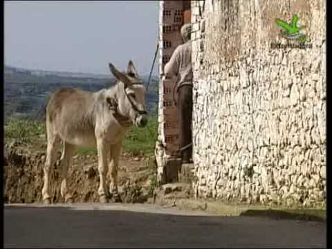 Imagen de Baterno mapa 06659 5 