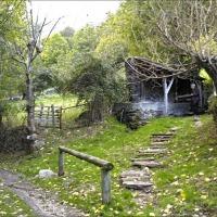 Imagen de Bausen mapa 25549 6 