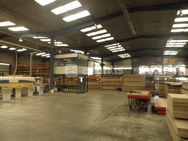 Imagen de Bedia mapa 48390 5 