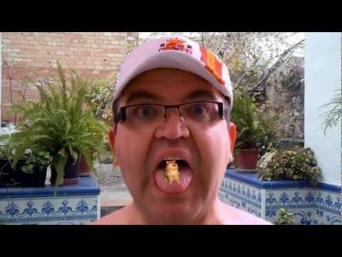 Imagen de Begíjar mapa 23520 6 