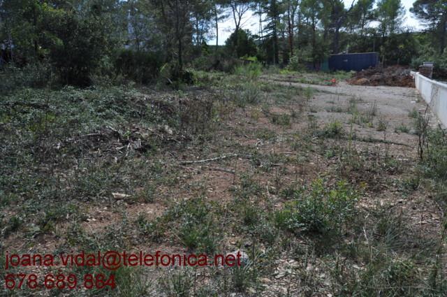 Imagen de Begues mapa 08859 4 