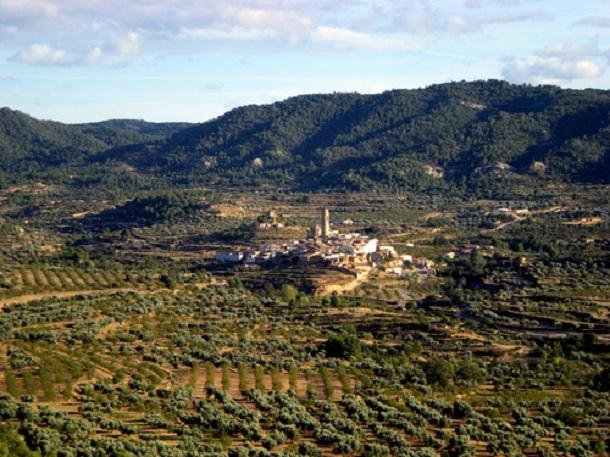 Imagen de Belmonte de San José mapa 44642 3 