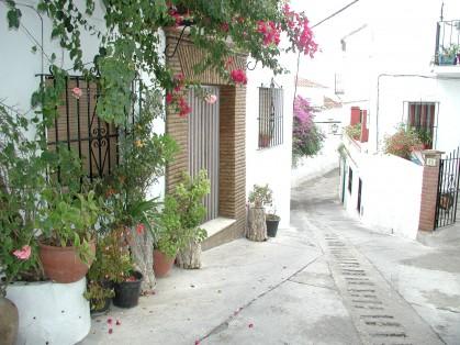 Imagen de Benalauría mapa 29491 3 