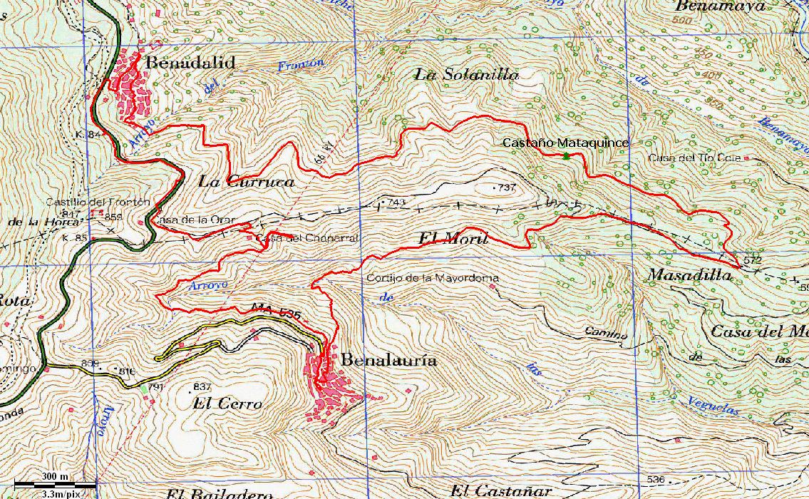 Imagen de Benalauría mapa 29491 4 