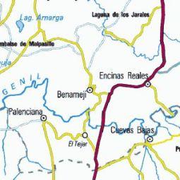 Imagen de Benamejí mapa 14910 2 