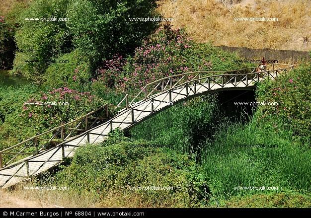 Imagen de Benaoján mapa 29370 2 