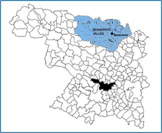 Imagen de Benavente mapa 49600 3 