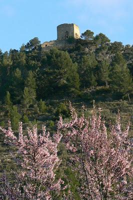 Imagen de Benifallim mapa 03816 4 