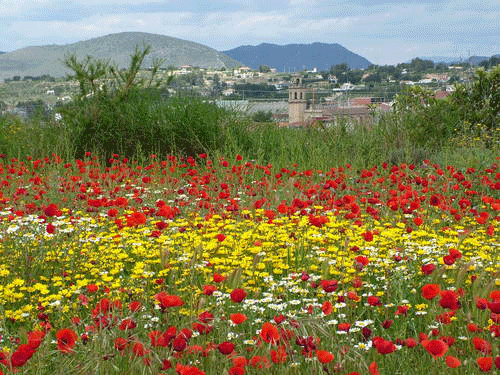 Imagen de Benigánim mapa 46830 4 