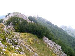 Imagen de Bergara mapa 20570 4 