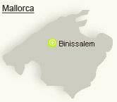 Imagen de Binissalem mapa 07350 4 