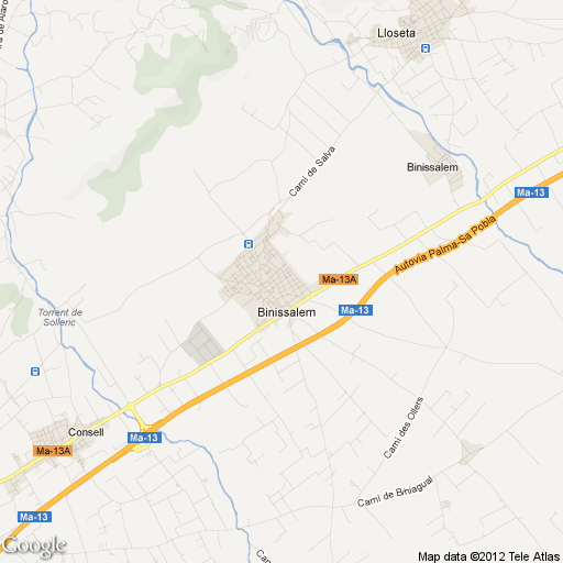 Imagen de Binissalem mapa 07350 5 