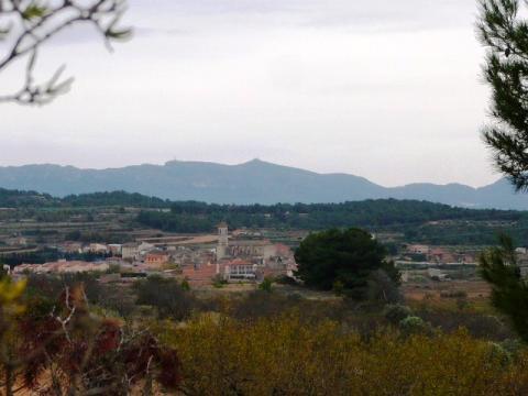 Imagen de Blancafort mapa 43411 6 