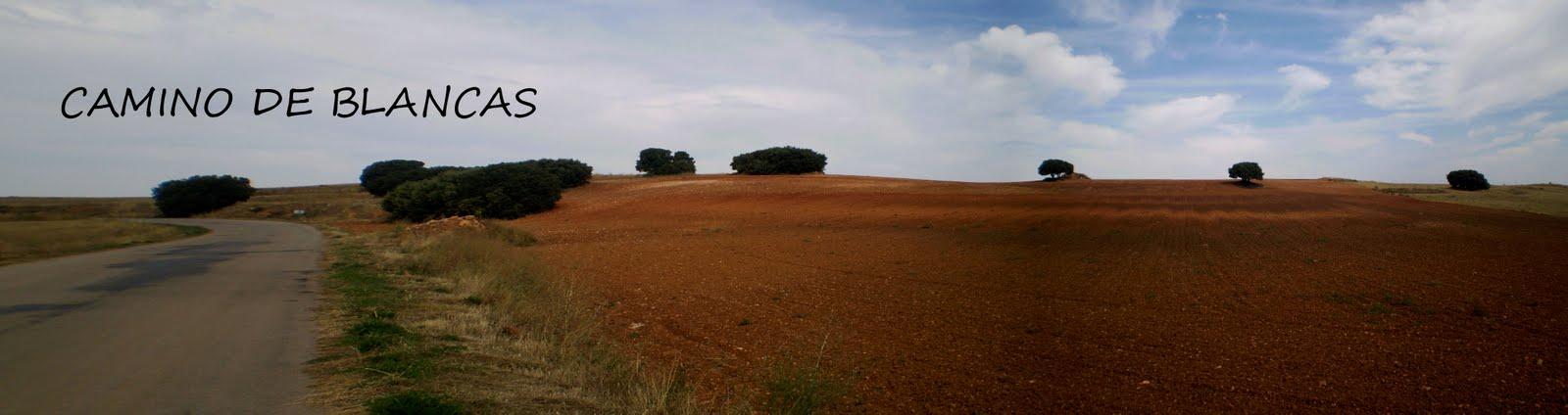 Imagen de Blancas mapa 44314 4 