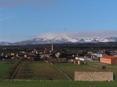 Imagen de Blancas mapa 44314 5 