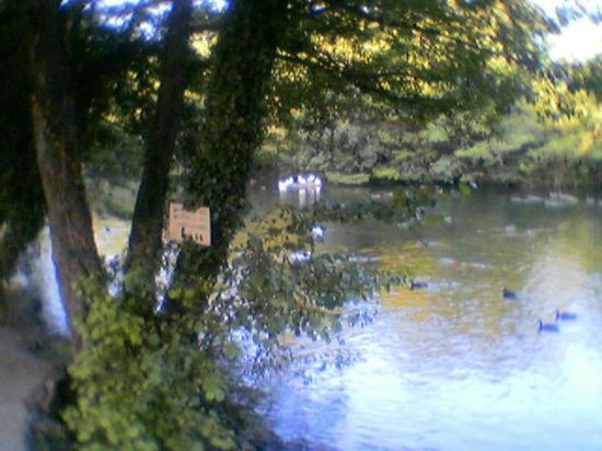 Imagen de Boadella i les Escaules mapa 17723 5 