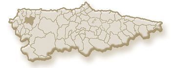 Imagen de Boal mapa 33720 1 