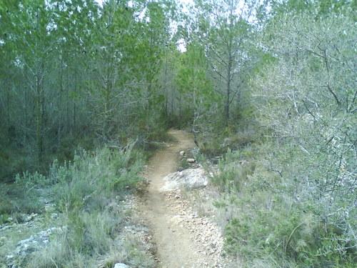 Imagen de Bonastre mapa 43884 3 