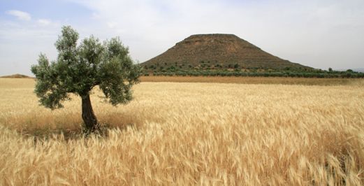 Imagen de Bonete mapa 02691 5 