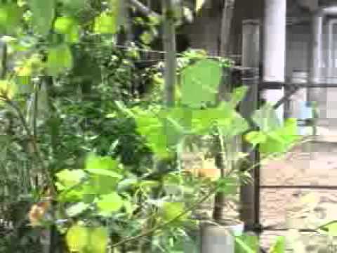 Imagen de Bordalba mapa 50229 6 