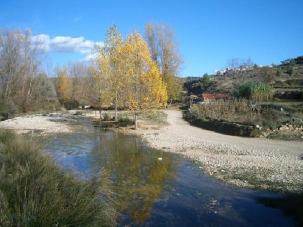 Imagen de Bordón mapa 44563 4 