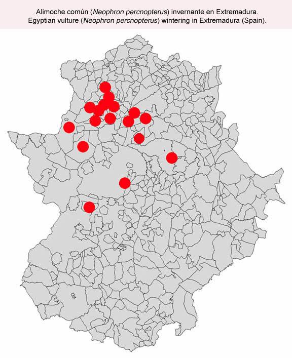 Imagen de Brozas mapa 10950 6 