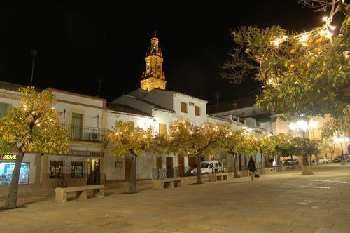 Imagen de Bujalance mapa 14650 4 