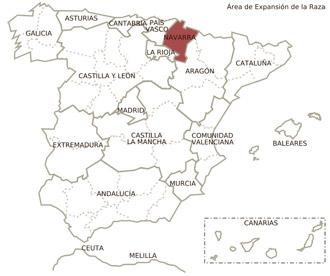 Imagen de Burguete mapa 31640 5 