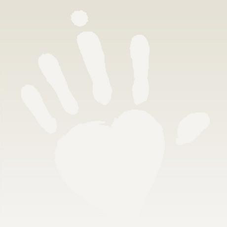 Imagen de Burujón mapa 45521 2 