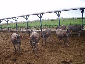 Imagen de Bustillo del Páramo mapa 24357 3 