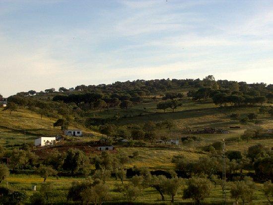 Imagen de Cabezas Rubias mapa 21580 3 