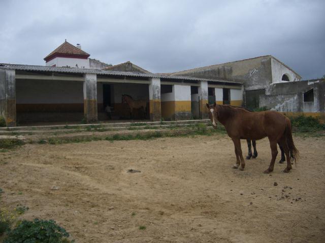 Imagen de Cabezas Rubias mapa 21580 4 