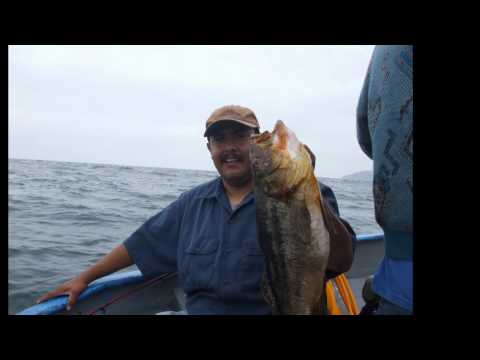 Imagen de Cabrillas mapa 37630 6 