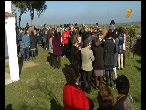 Imagen de Cachorrilla mapa 10881 4 