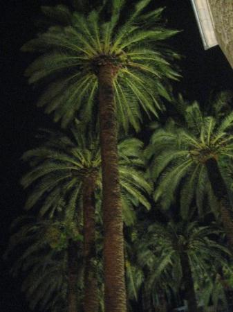 Imagen de Caldas de Reis mapa 36650 6 