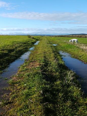 Imagen de Caleruela mapa 45589 1 