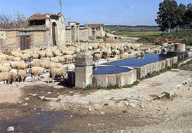 Imagen de Caleruela mapa 45589 5 