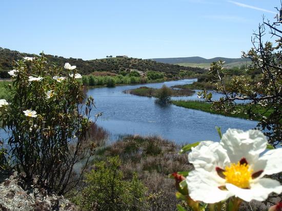 Imagen de Calzada mapa 13370 3 