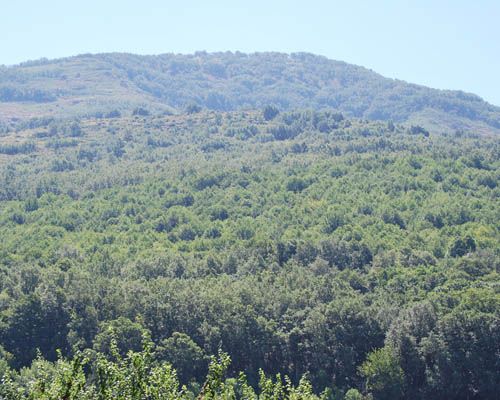 Imagen de Caminomorisco mapa 10620 6 