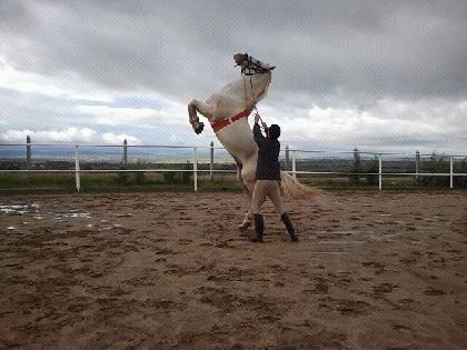 Imagen de Campanario mapa 06460 3 