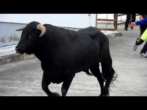 Imagen de Campillo de Azaba mapa 37550 5 