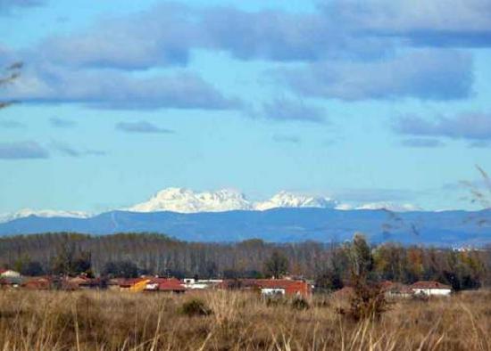 Imagen de Campo de Villavidel mapa 24225 3 