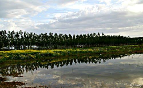 Imagen de Campo de Villavidel mapa 24225 5 